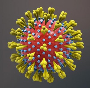 coronavirus.jpg  