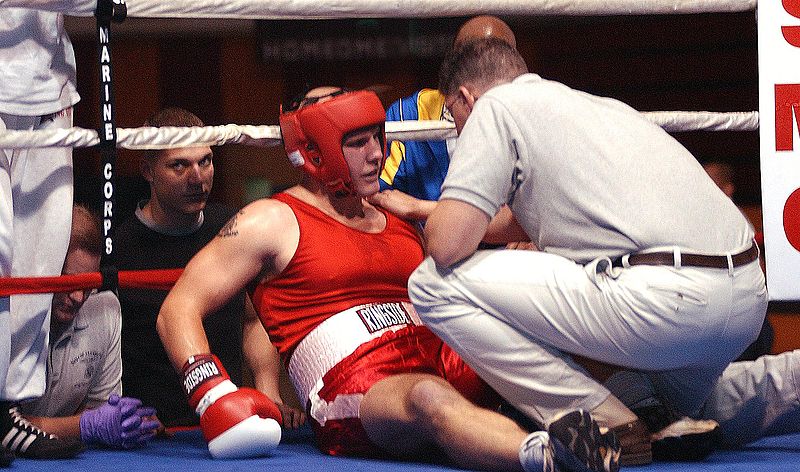 Boxer Knockout.jpg